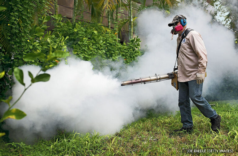 Mosquito Control: How PestBlitz Can Help You Stay Bite-Free