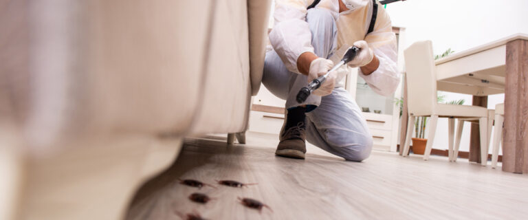 Fly Control Services for Commercial Properties