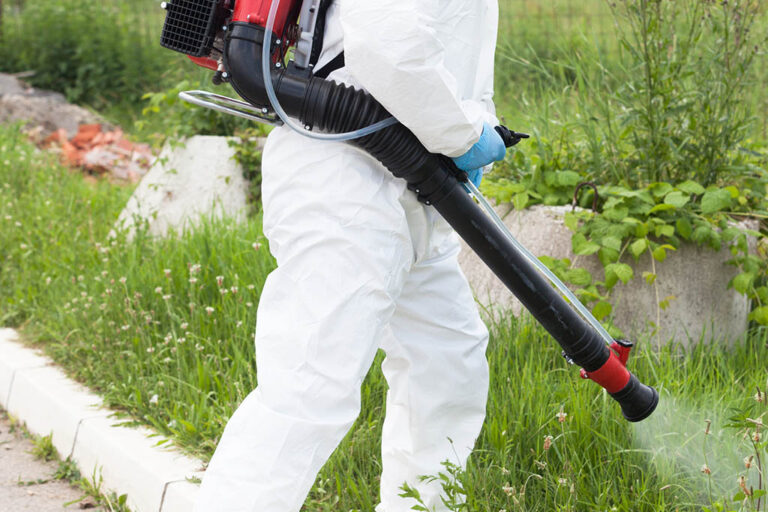 Effective Mosquito Control Services for Residential Areas in Gurgaon